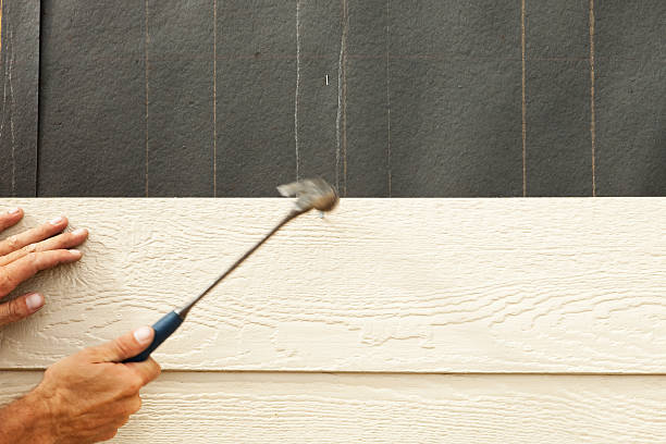 Affordable Siding Repair and Maintenance Services in Knob Noster, MO